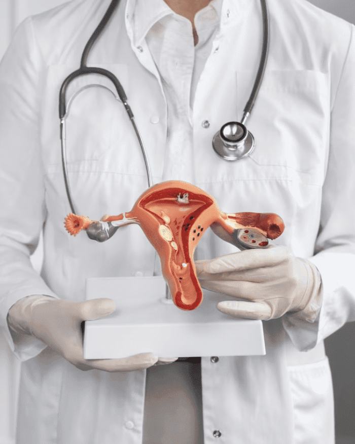 ginecologa chapultepec